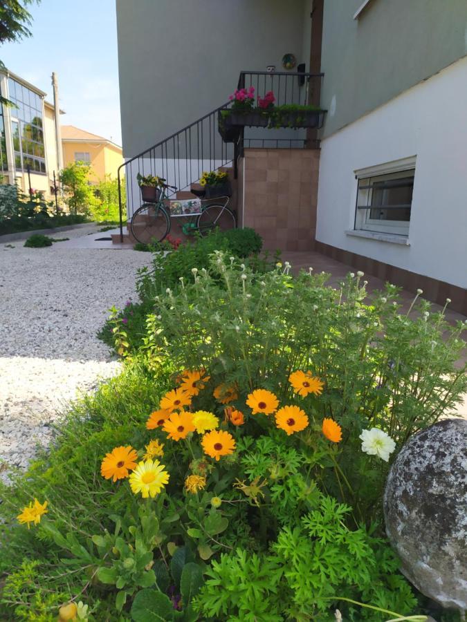 Casa Vacanze I Giardini Di Marzo San Giorgio di Mantova ภายนอก รูปภาพ